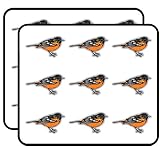 Oriole Bird Art Decor Planner Calendar Scrapbooking Crafting Stickers 2' Each 18 Pack