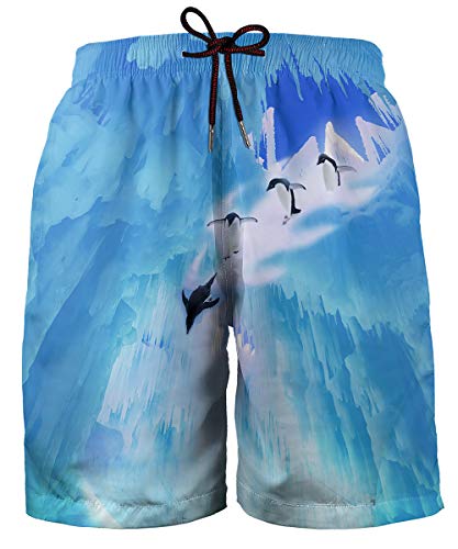 Hgvoetty 3D Printed Shorts for Men Cool Casual Swim Trunks Colorful Beach Board Shorts with Pockets