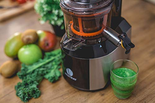 Ventray Slow Press Masticating Juicer,Easy to Clean,Reverse Function, BPA Free,Large Feed Chute,Juice Extractor,Brush,Recipe,Juice Jars,Black