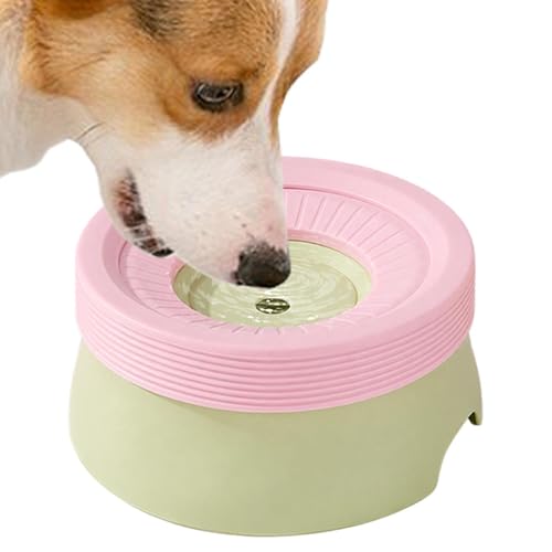 Gamelle d'eau pour chien pour protéger la santé de votre animal