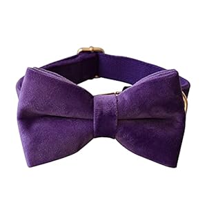 Dog Collar Custom Personalized Engraved Name and Phone Number for Puppy Small Medium Large Pets (L, Purple)