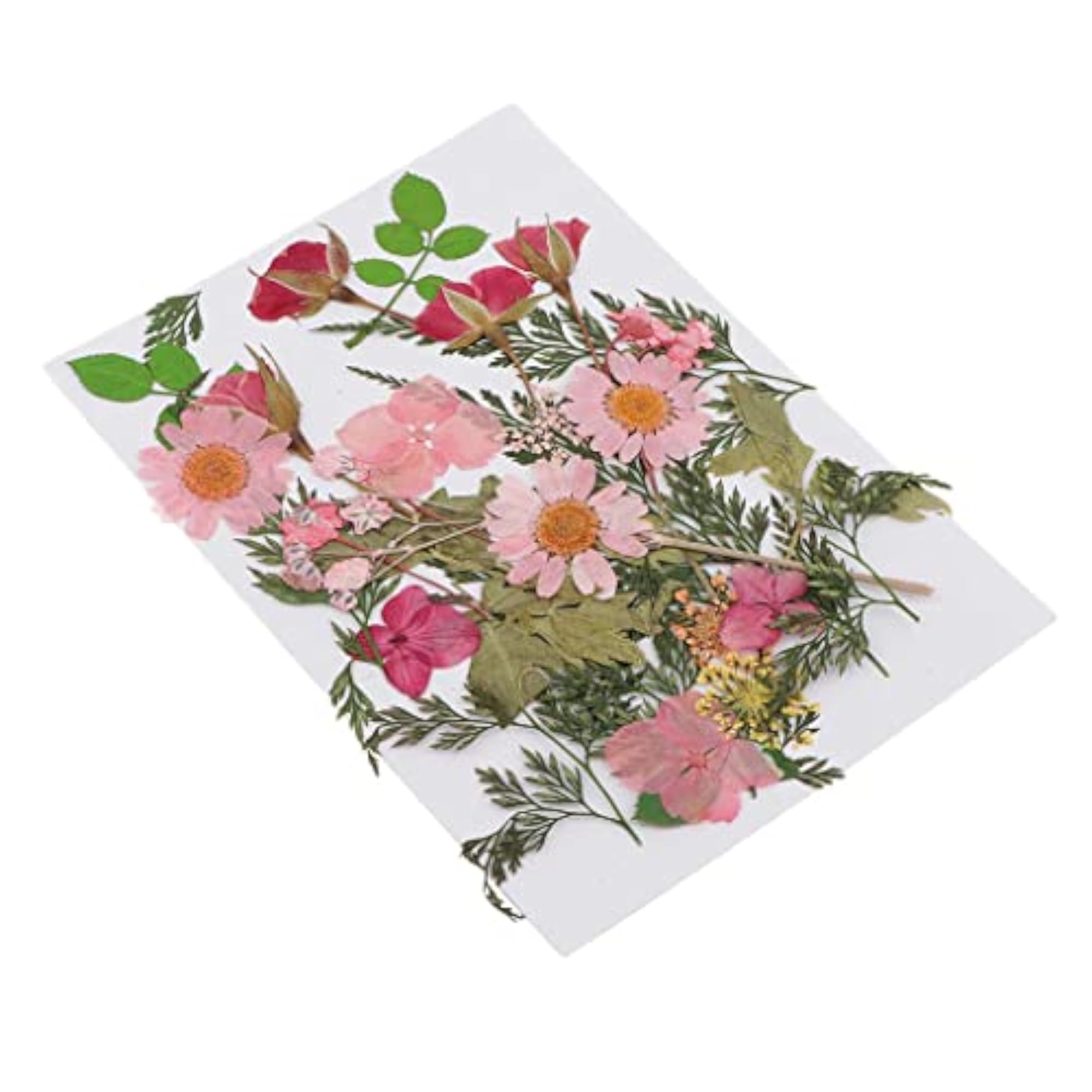 Mixed Natural Real Pressed Dried Flowers for DIY Projects