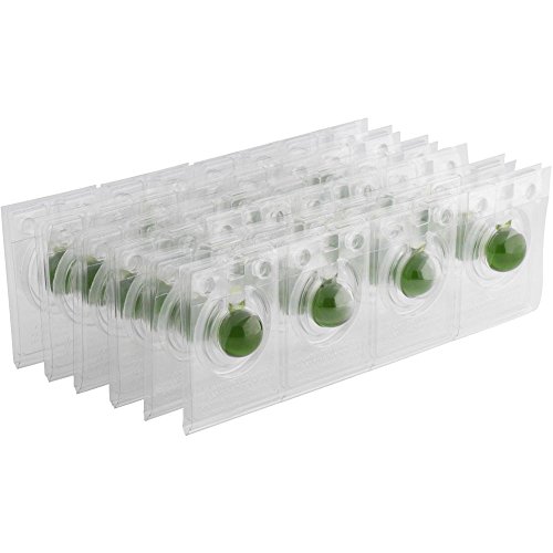 KOHLER 4929-NA Waterless Urinal Maintenance Balls (Pack of 24), 12.50 7.88 4.88, Model:K-4929-NA - image 1