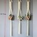 Macrame Plant Hanger || 100% Cotton Handmade || 39