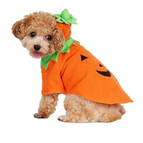 Tongcloud Dog Pumpkin Costume Halloween Thanksgiving Dog Costume Outfits Party Dress Winter Jacket Hoodie Funny Clothes(Medium)