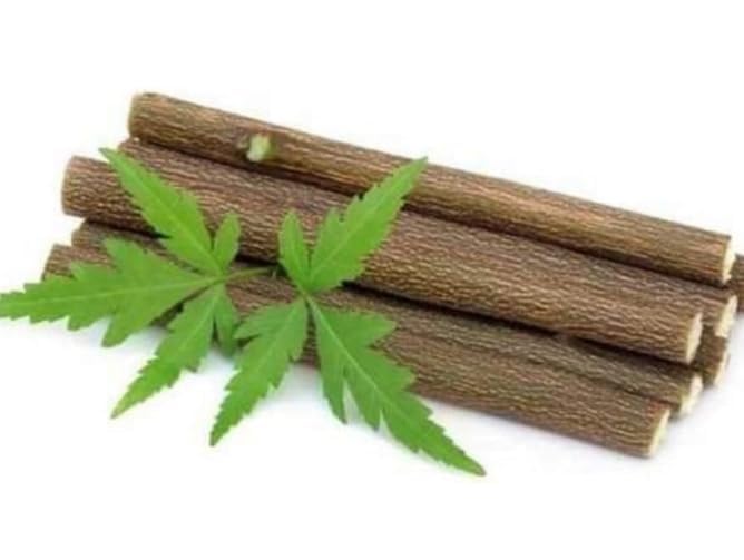 Image of Organic Neem Datun(Moti Datun) Organic Manual Toothbrush Nim Tree Twigs Chew Sticks For Brushing Teeth Removes Bad Breath, Toothpaste (pack of 20)