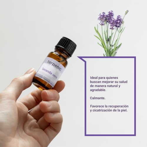 TERPENIC - Aceite Esencial de Lavanda Vera (Lavandula Angustifolia) - 30 ml - Uso Oral – Calma y equilibrio natural - imagen 2