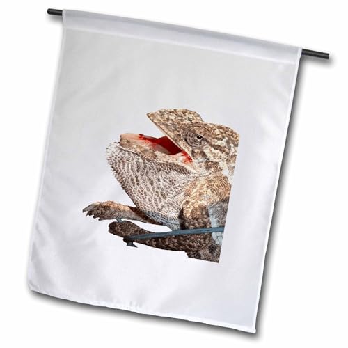3dRose Chameleon With Open Mouth Nerdy Reptile Photograph Cut Out - Flags (fl-383499-2)