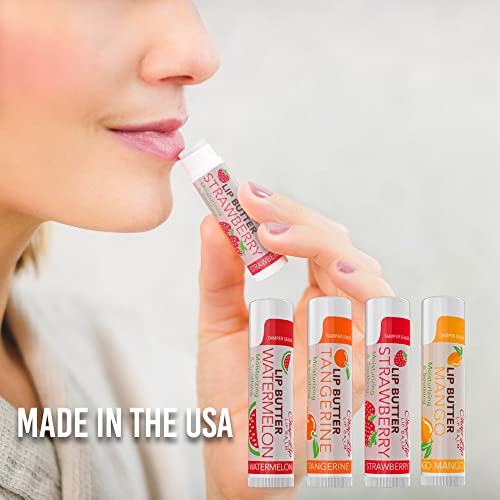 Chap-Lip Lip Butter Lip Balm With Fruit Flavors, Cocoa Butter, Coconut Oil. Moisturizing Vitamin E & Total Hydration Treatment & Soothing Lip Therapy Made In Usa #TOP2