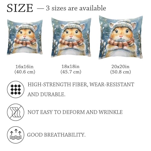 Housse de coussin velours doux double face de qualité supérieure