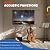 8 pack Art Acoustic Panels with Self-Adhesive,48 x 32Inches Acoustic Wall Art,Better Decorative Sound Proof Panels,Recording Studio/Home/Office Acoustical Treatment,Starry Sky
