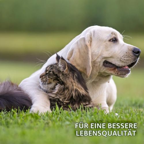 AniForte MultiVETAL Multivitamin Pulver für Hunde, Katzen 100g - Natürliche Vitamine, Mineralstoffe & Nährstoffe für eine optimale Versorgung, Unterstützung der natürlichen Abwehrkräfte