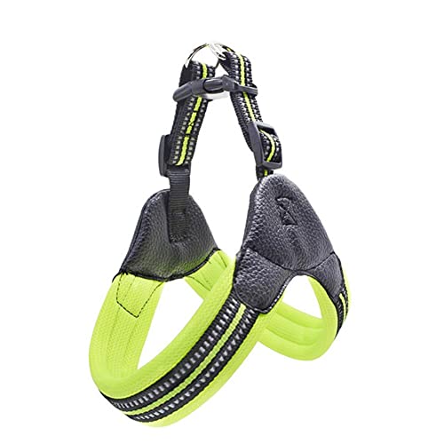 Laisse et sac transport pour chien réfléchissant et ajustable taille XS vert