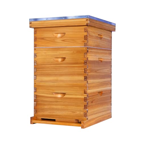 Thxbees 10-Frame Langstroth Bee Hive Complete Bee Hive Kit Beeswax Coated Include Beehive Frames and Waxed Foundation Sheets for Beekeeper (2 Deep Beehives Box & 1 Medium Box)