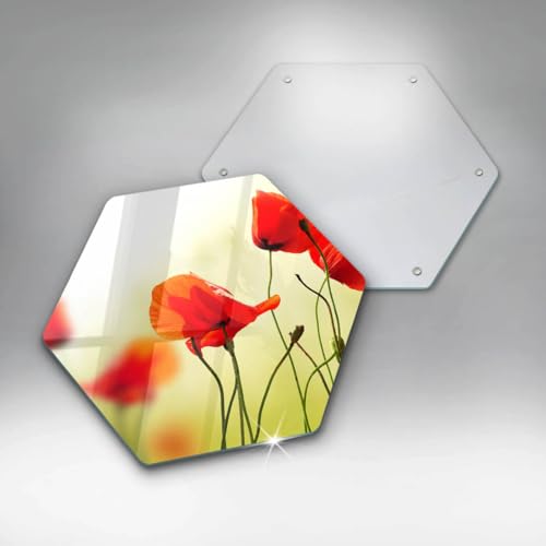 Plaque protection induction évite rayures table cuisson hexagone 40cm - 6