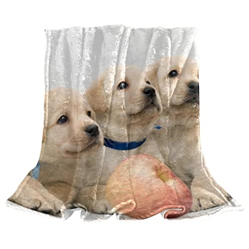 Couverture polaire douce Labrador literie complète et décorative
