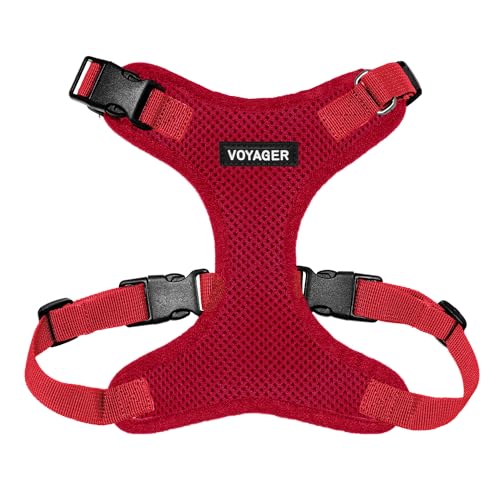 Balance Harness Dogs The 15 best products compared Wild Explained
