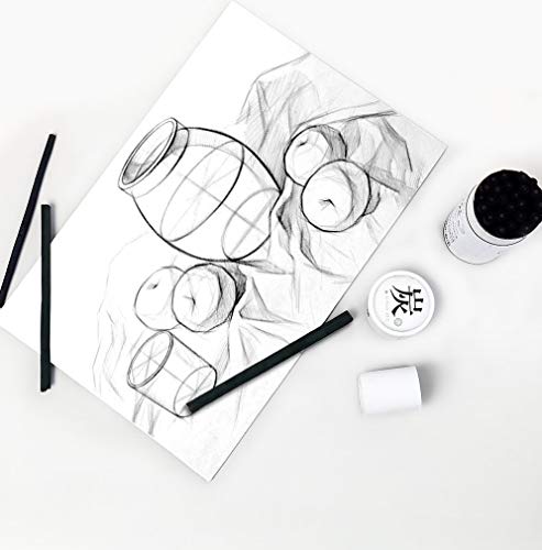 Carboncillo de Sauce para Dibujo y Boceto en Cubeta 25 miniatura 5