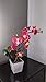 Orchid & Ivy 17-Inch Lighted Dark Pink Artificial Orchid Flower Plant with Timer - Battery Operated with 9 Lights