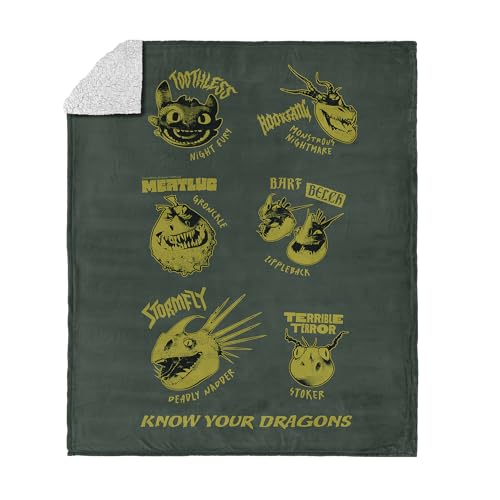 Northwest How to Train Your Dragon Know Your Dragons Silk Touch Sherpa Throw Blanket 50x60 inches