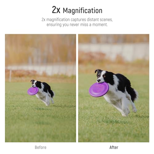 NEEWER HD 60mm Telephoto Lens Only for 17mm Thread Backplate, 2X Magnification Compatible with SmallRig NEEWER iPhone Samsung Phone Cage Case with 17mm Lens Adapter, LS-41