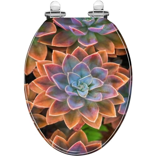Elongated Toilet Seat Beautiful echeveria succulents arranged on the ground Resin Toilet Seat with Quietly Close Quick Release Hinges Decorative Toilet Seat with Cover Easy to Clean and Install