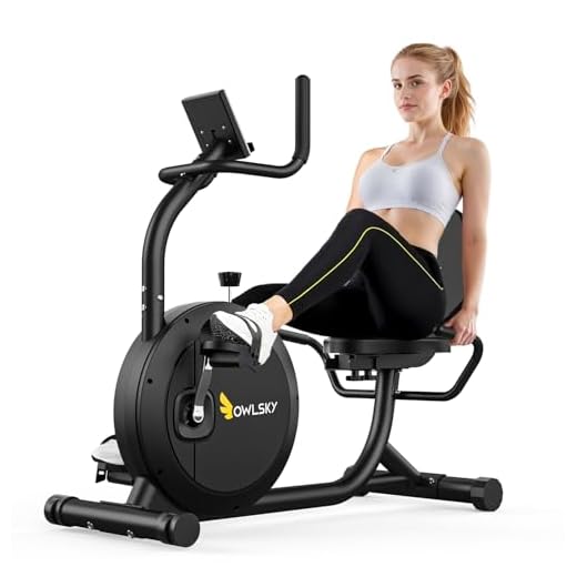 OWLSKY Recumbent Exercise Bike for Home Gym, Magnetic Stationary Bike with 16-Level Resistance, Quiet 15LBS Flywheel, 300LBS Capacity, Low-Impact Cardio & Physical Therapy