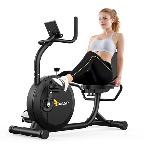 OWLSKY Recumbent Bike 400LB