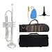 Student Brass Trumpet Musical Instruments For Beginners Bb Trumpet B Flat Brass Gold Silver Trumpet For Beginners (Color : 02)