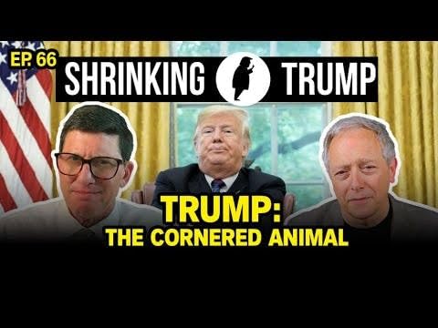 『Epstein Files Frenzy and Court Losses Fuel Trump’s Collapse』のカバーアート