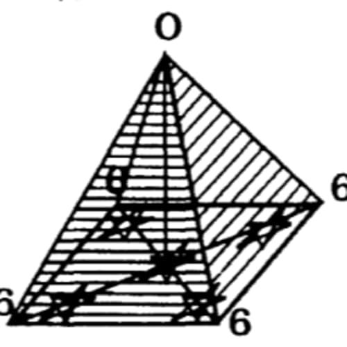 Fascicle 2 discussion