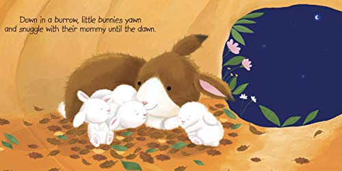 Image of Night, Night to the Animals - Children's Padded Board Book - Bedtime Animals