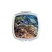 Ocean Colorful Fish Science Nature Picture Mirror Portable Compact Pocket Makeup Double Sided Glass