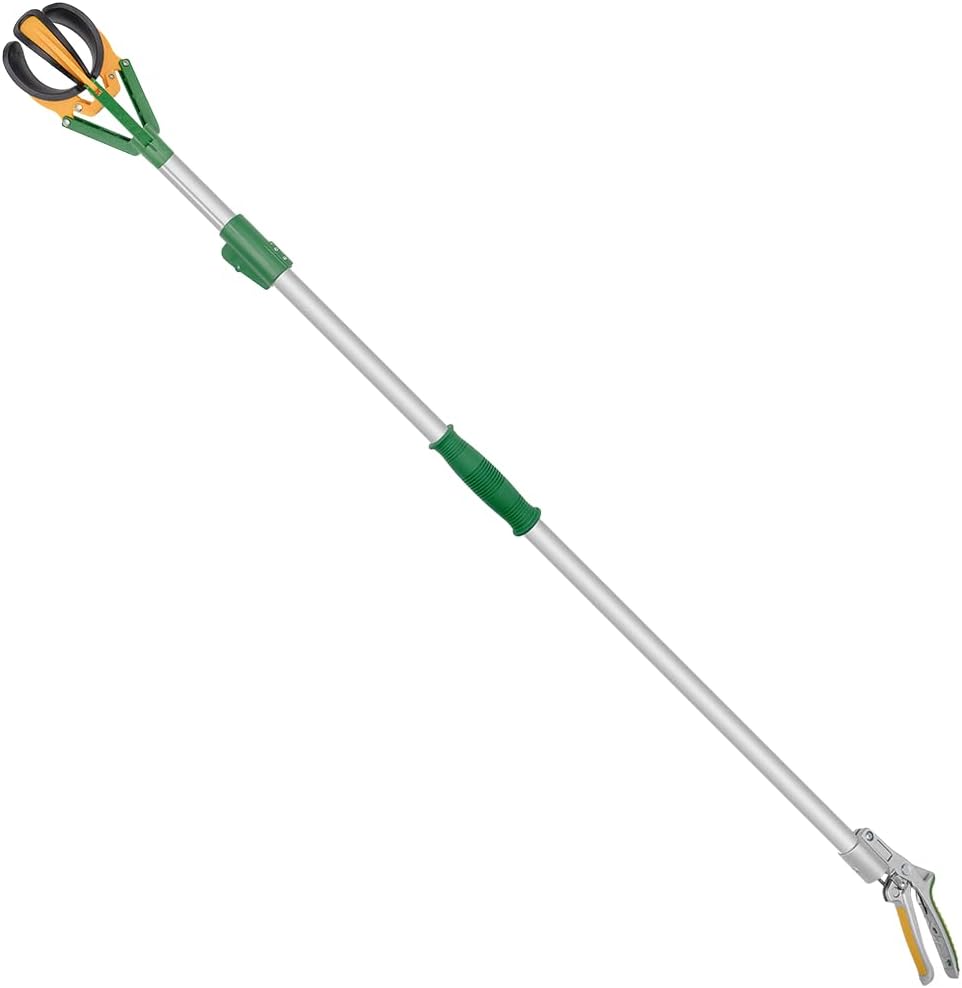 Zenport ZL6146A Long Reach Telescopic Fruit Harvester and Picker, 6-Feet Extension, Gray