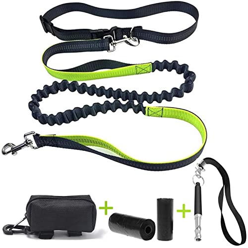 Correas Perros Grandes Marca LOW&EE