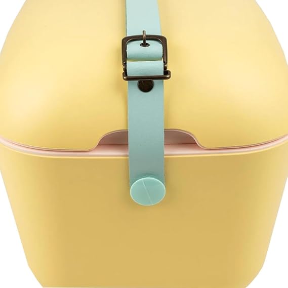 Polarbox Soğutma kutusu – soğutucu çanta, küçük, 20 l, kamp buzdolabı, derin dondurucu, mini soğutucu çanta, piknik ve plaj, araba