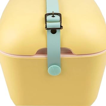 Polarbox Soğutma kutusu – soğutucu çanta, küçük, 20 l, kamp buzdolabı, derin dondurucu, mini soğutucu çanta, piknik ve plaj, araba