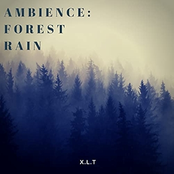 Ambience: Forest Rain