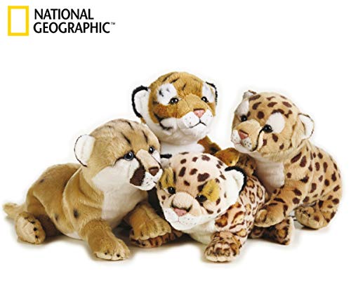 Preisvergleich Produktbild National Geographic - 770.768 - Feline Baby - Tiger / Leopard / Löwe / Panther - (4 Stück) - Sortierte Modell