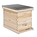 VIVOHOME Wooden 20 Frames Langstroth Honey Bee Hive Box with Metal Roof