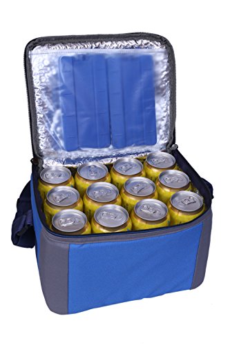 Image of BagsRUs Polyester Insulated Portable Cooler Bag with Free Ice Pack, 11L, Royal Blue