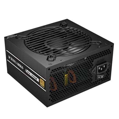 Fuente de poder 750W 80 Plus Gold no modular miniatura 2