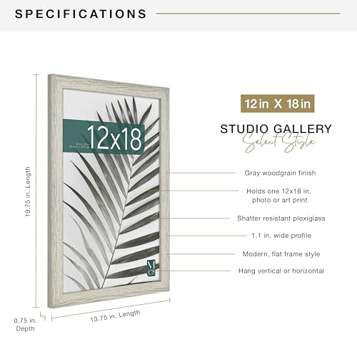 MCS Studio Gallery 12x18 Picture Frame Gray Woodgrain, Rectangle Photo Frame for Photos, Posters & Art Prints (1-Pack)