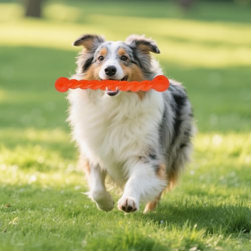 2 Stück Hundespielzeug für Zähne, Hundespielzeug Gummi, Kauknochen Welpen, Kauspielzeug Hund Gummispirale für Hunde Interaktiv Kleine, Mittelgroße und Große Hunde, Für Zahnfleisch assieren,18cm+28cm