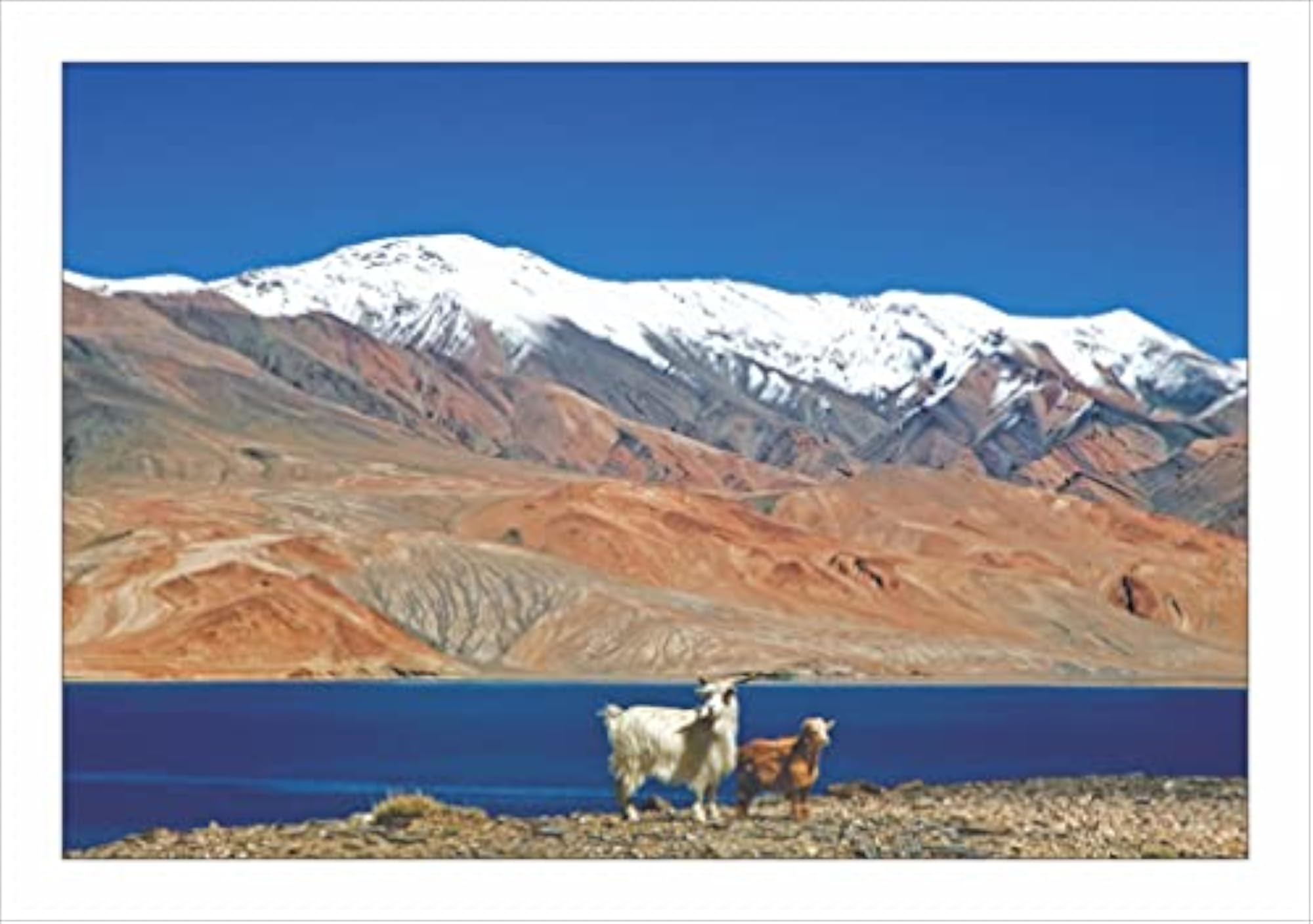 Leh-Ladakh Post Cards Set of 10