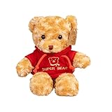AUCOOMA Teddy Bear Stuffed Animal 11.8” Classic Small Teddy Bear Plush with Doll Hoodie, Plush Gift for Boys Girls Bear Doll for Christmas Valentine's Day