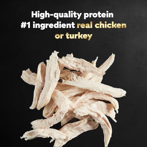 Image of Cesar Filets in Gravy Adult Wet Dog Food Variety Package,Poultry Lovers with Rotisserie Chicken Flavor and Turkey Recipe,3.5 oz. Easy Peel Trays,12 Count (Pack of 4)