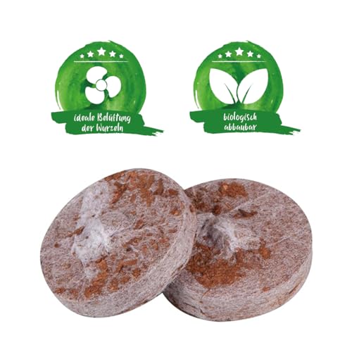 Pflanzenlampe LED, Pflanzenlicht, Pflanzenleuchte 72W, Wachsen licht with 144 Leds, Wachstumslampe Vollspektrum Wachstumslampe für Zimmerpflanzen mit Zeitschaltuhr, Plant Lights Stufenloses Dimmen. 4 Pflanzenlampe LED, Pflanzenlicht, Pflanzenleuchte 72W, Wachsen licht with 144 Leds, Wachstumslampe Vollspektrum Wachstumslampe für Zimmerpflanzen mit Zeitschaltuhr, Plant Lights Stufenloses Dimmen. – Bild 4