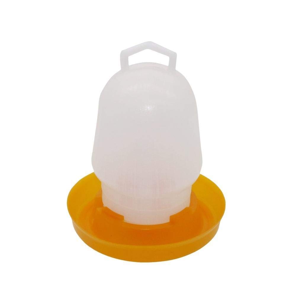 Buy Birds Feeder New Bird drinking Animal feeder Quail Chicken Bird