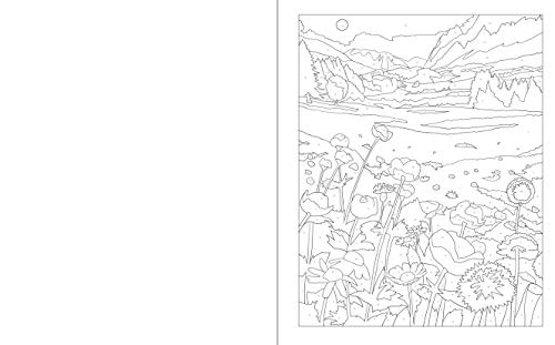 Meditation Colour by Numbers (Arcturus Colour by Numbers Collection)